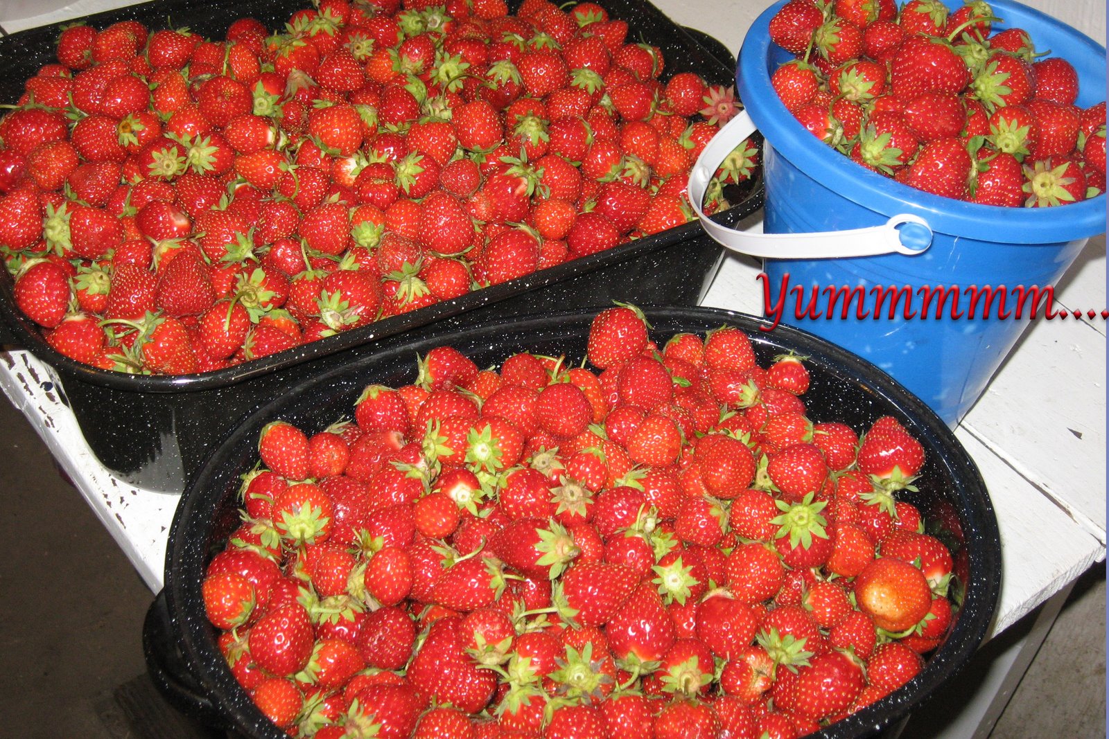 [strawberries+edit1.jpg]