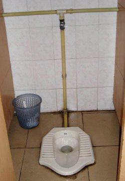 [China_toilet.jpg]