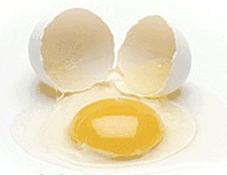 [color-broken-egg.bmp]
