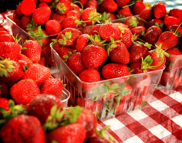 [strawberries--forweb.jpg]