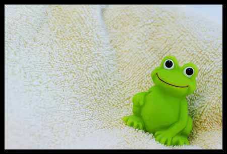 [frog+on+towel.jpg]