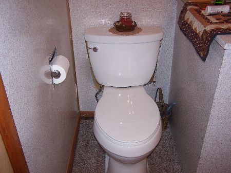 [New+toilet.jpg]