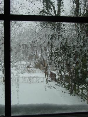 [Snow+March+7+2008.JPG]