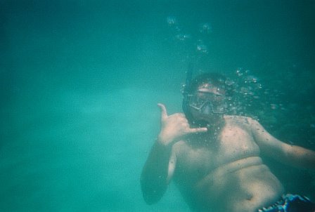 [snorkeling+andrew.jpg]