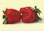 [kissing+strawberries.jpg]