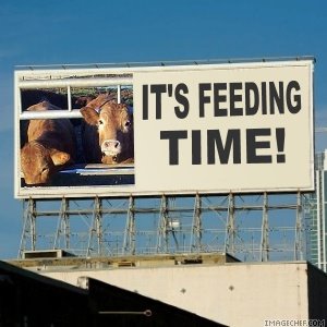 [feeding+time.jpg]