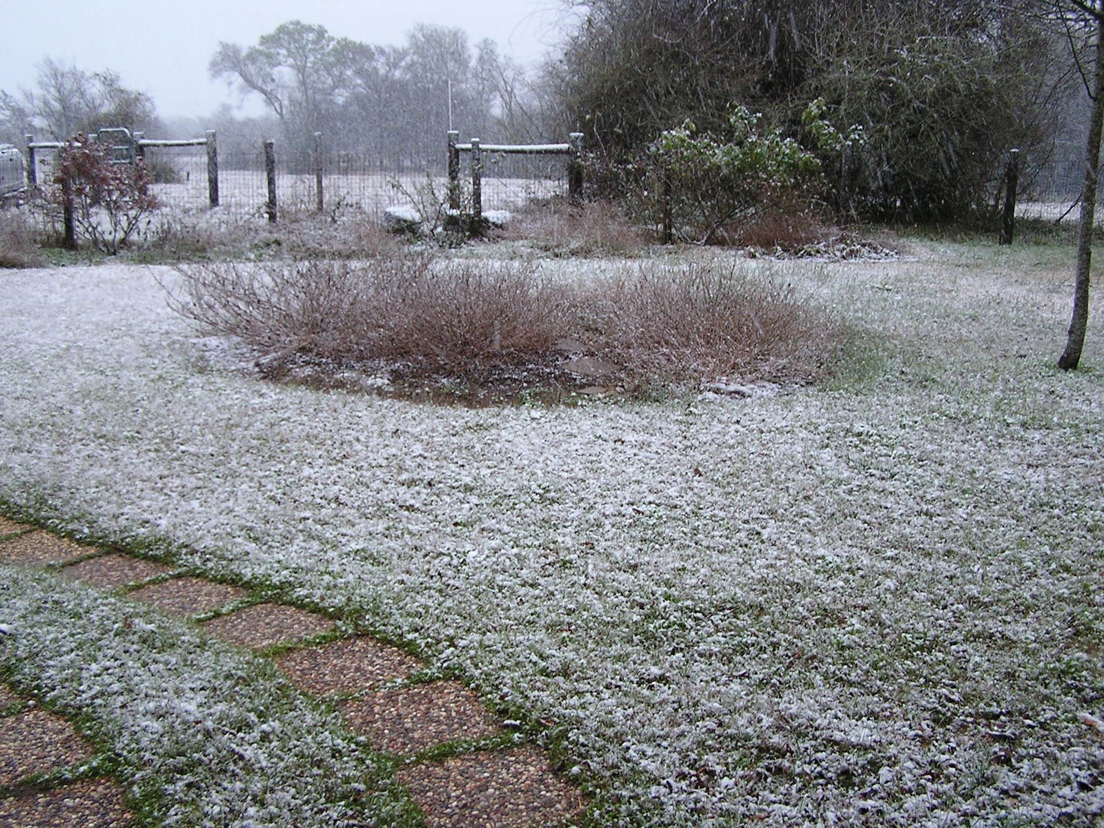 [Snow+yard.JPG]