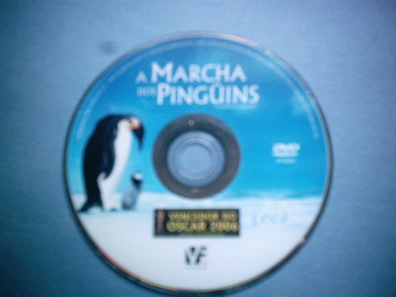 [pinguins02.JPG]