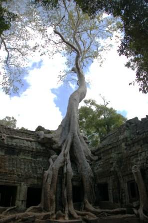 [07+12+02+Camboya+Angkor+Wat+095.JPG]