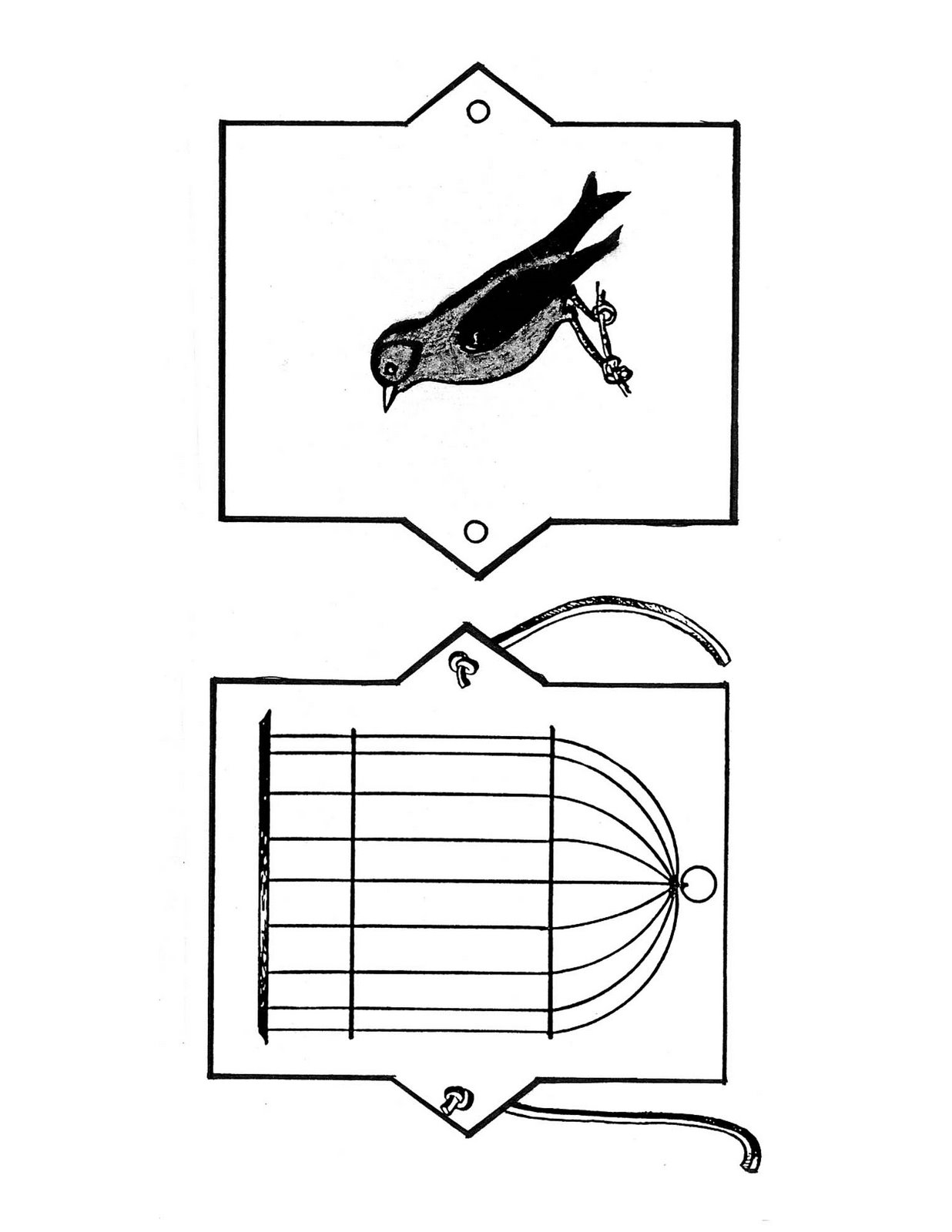 [birdcage.jpg]
