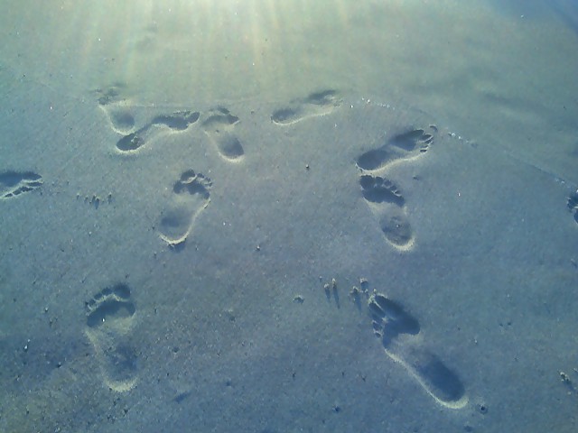 [footprints+Laguna.jpg]