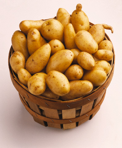 [potato.jpg]