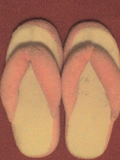 [pinky+home+slippers.jpg]