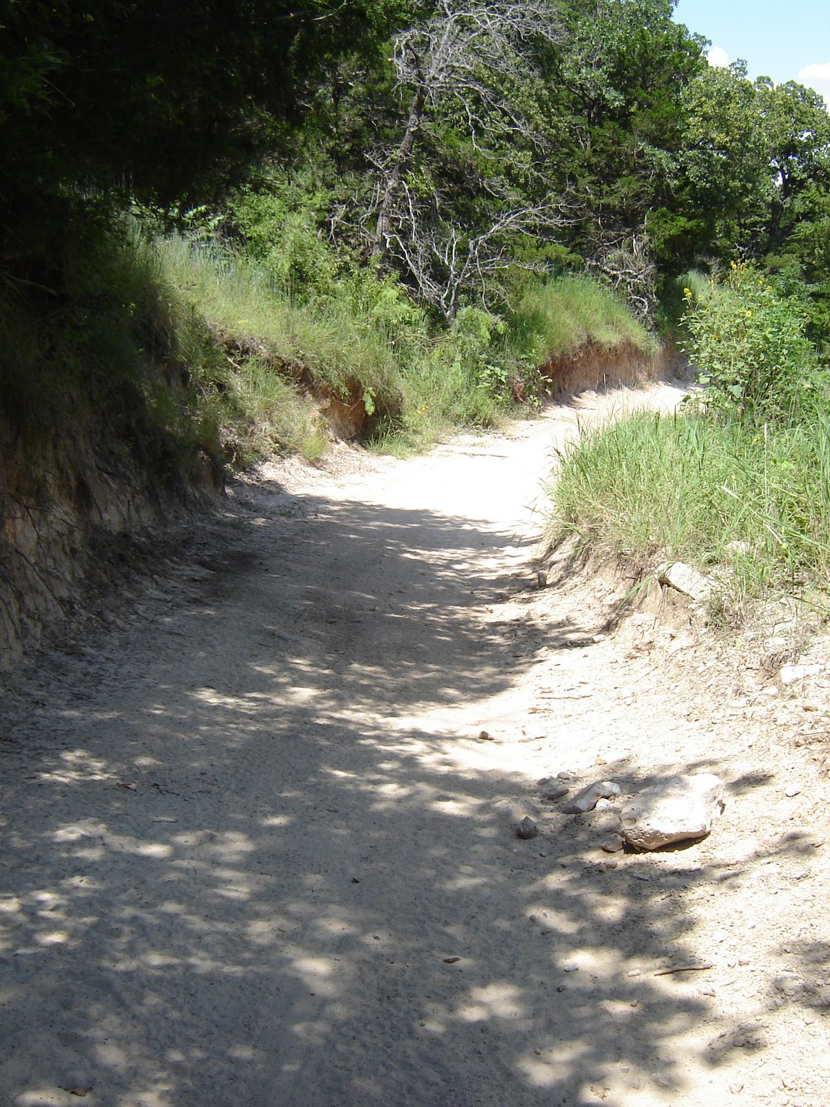 [Trail.JPG]