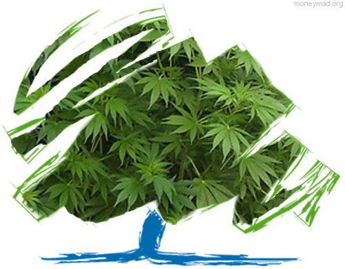 [cannabis+tories.jpg]