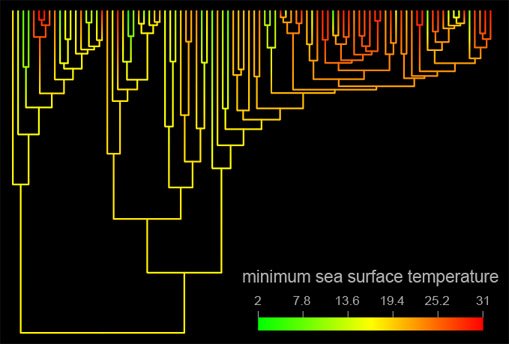 [sea_surface_temperature_colors.jpg]