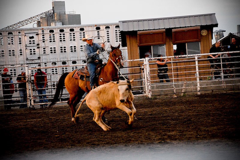 [2008-07-04+Rexburg+rodeo+0073.jpg]
