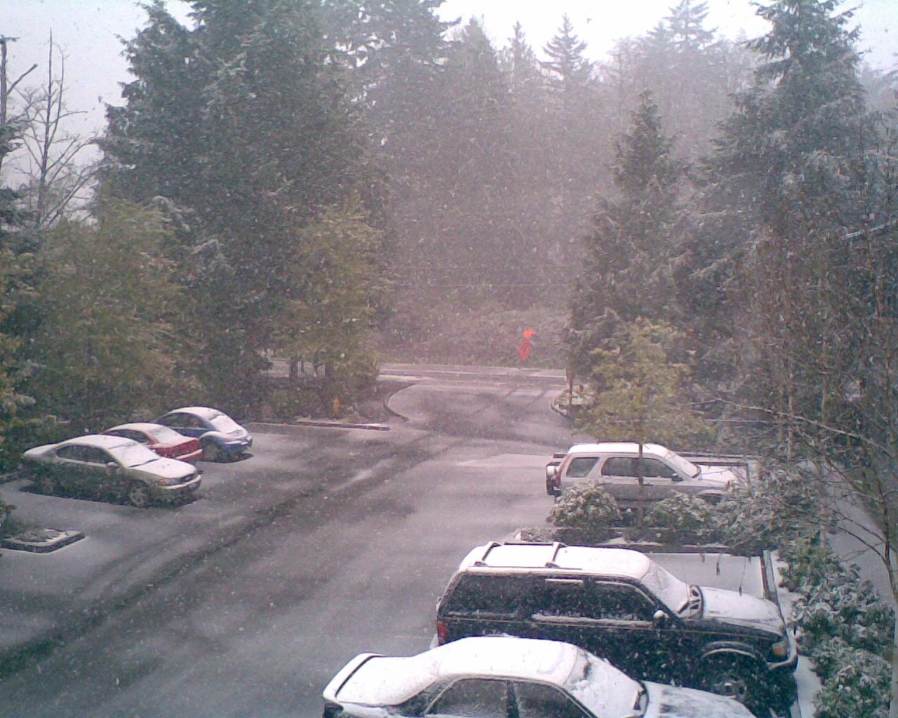 [April+Snow+2008.JPG]