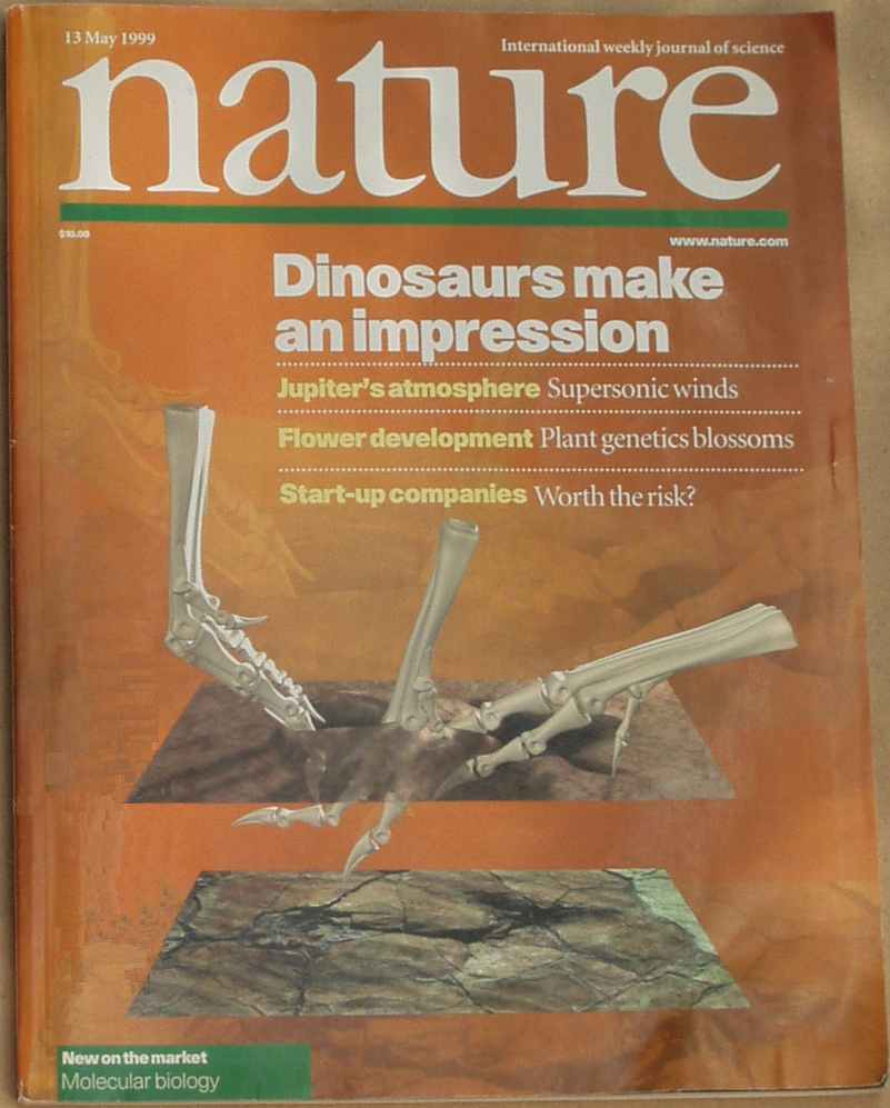 [Nature-PadianKevin-DinosaursMakeImpression.jpg]