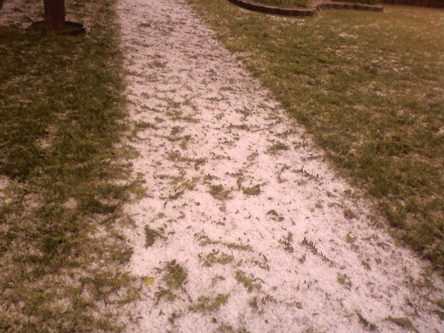 [hail+on+the+sidewalk.bmp]