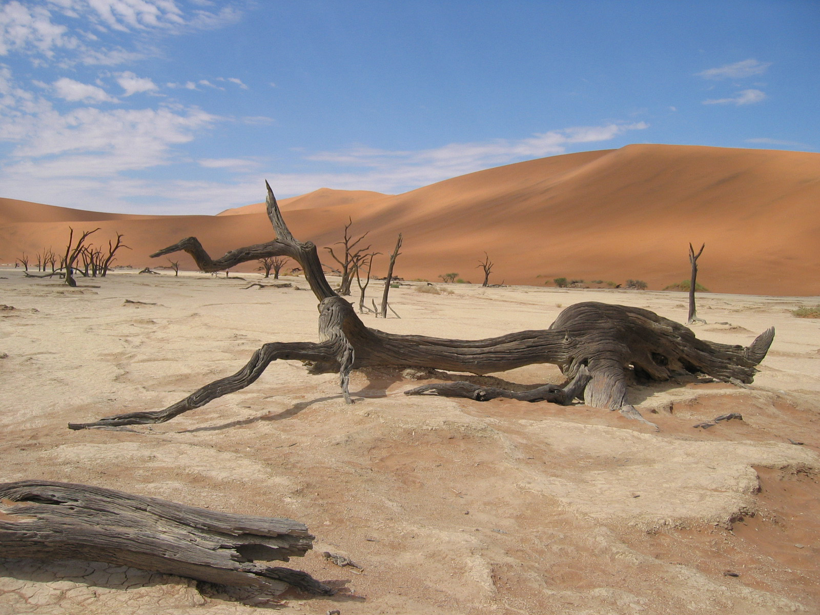 [Sossusvlei_desert_in_Namibia_afrika.jpg]