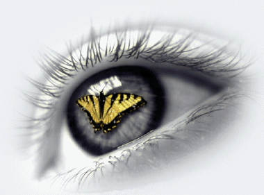 [butterfly_eyes.gif]