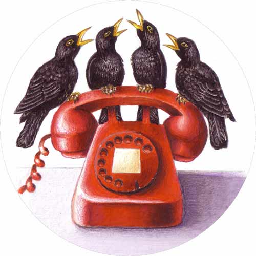 [4-Calling-Birds.jpg]