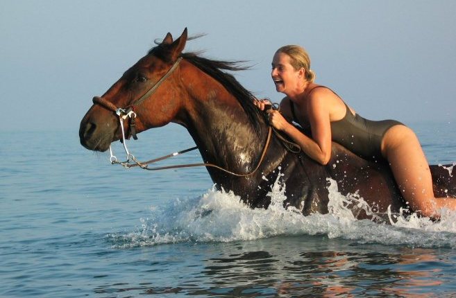 [Swimming-with-horses.jpg]