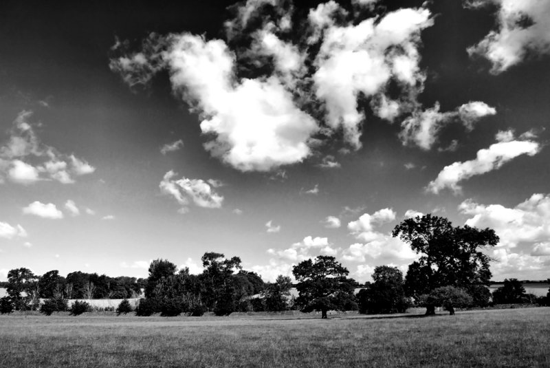 [0_summer+clouds.jpg]