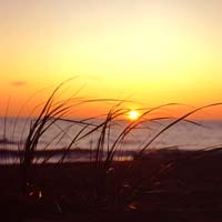 [long+beach+sunset.jpg]