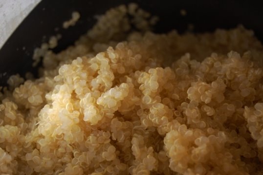 [quinoa.bmp]