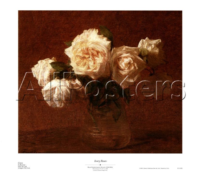 [Latour+-+white+roses.jpg]