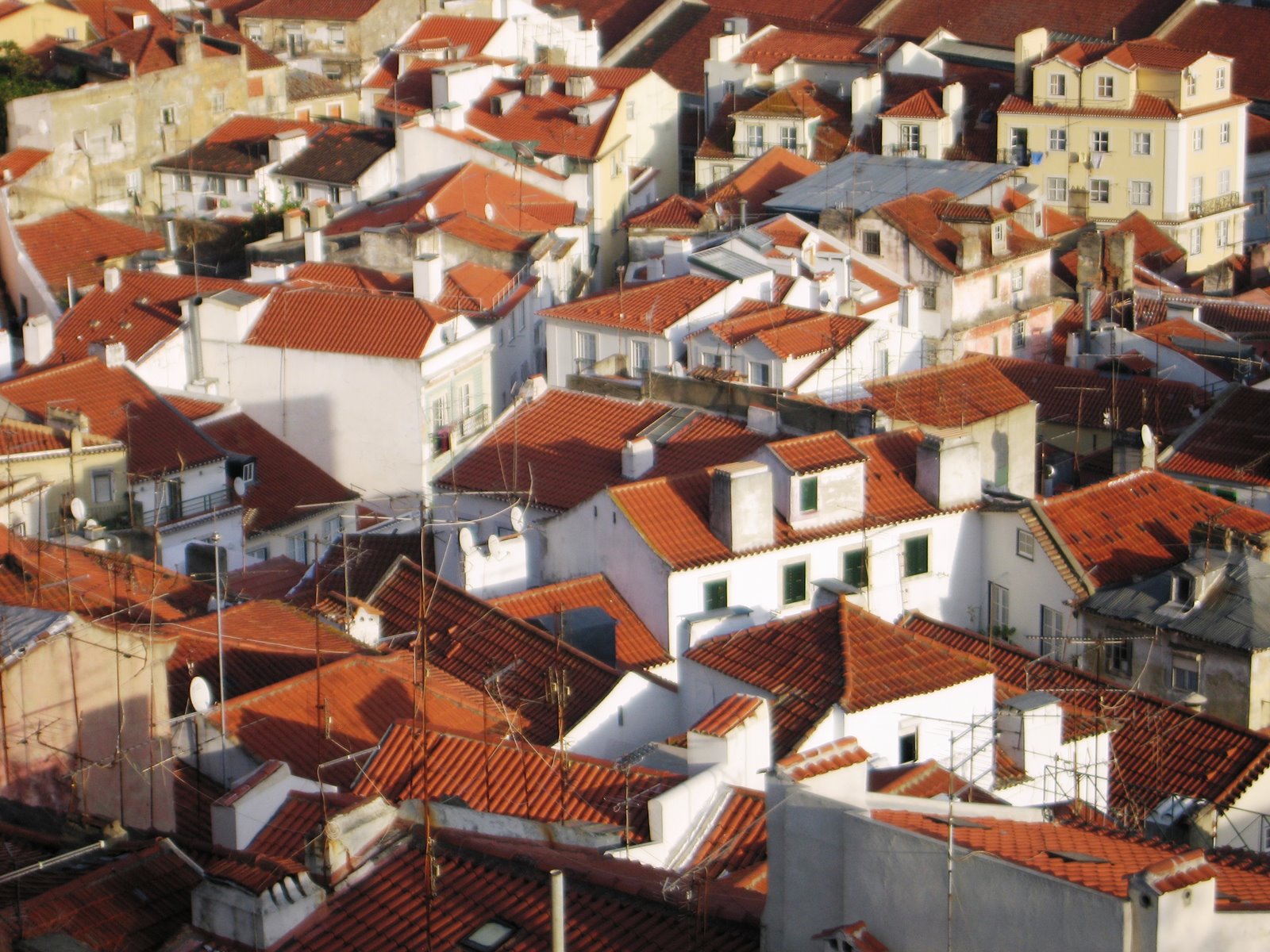 [Lis+Lisbon+Roofs+.JPG]