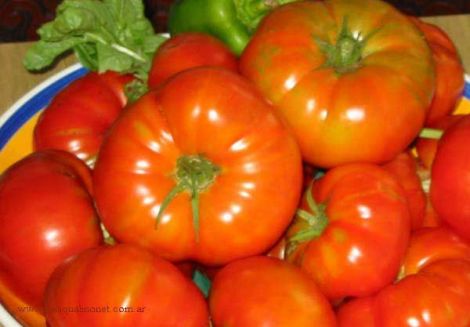[20060829114320-tomates-y-tomates-600.jpg]