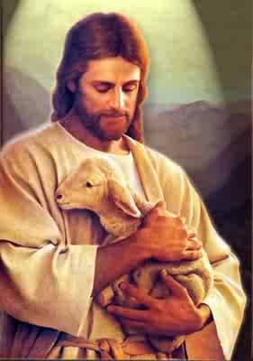 [jesus+segura+ovelha-07.jpg]