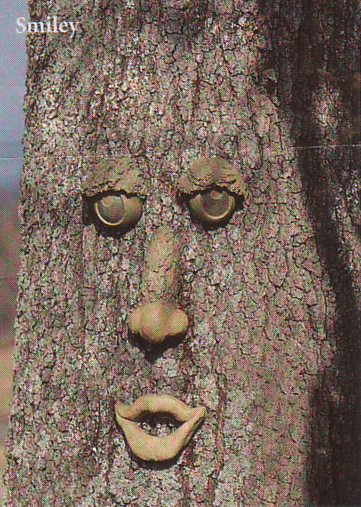 [forest+faces3.jpg]