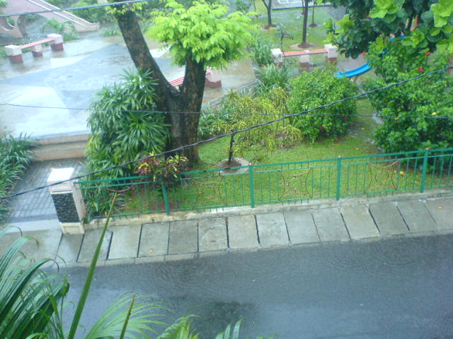 [rainy+day+3.JPG]