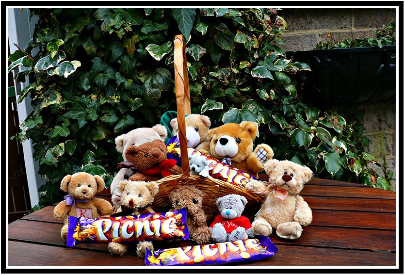 [Teddy+Bears+Picnic.jpg]