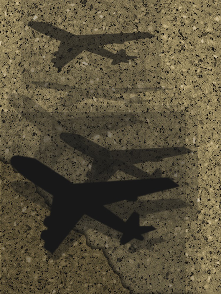 [flight.jpg]