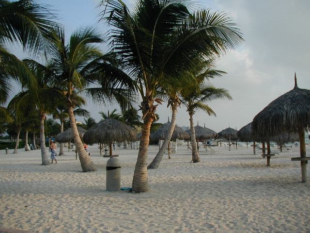 [Beach+in+front+of+resort,+Aruba.jpg]