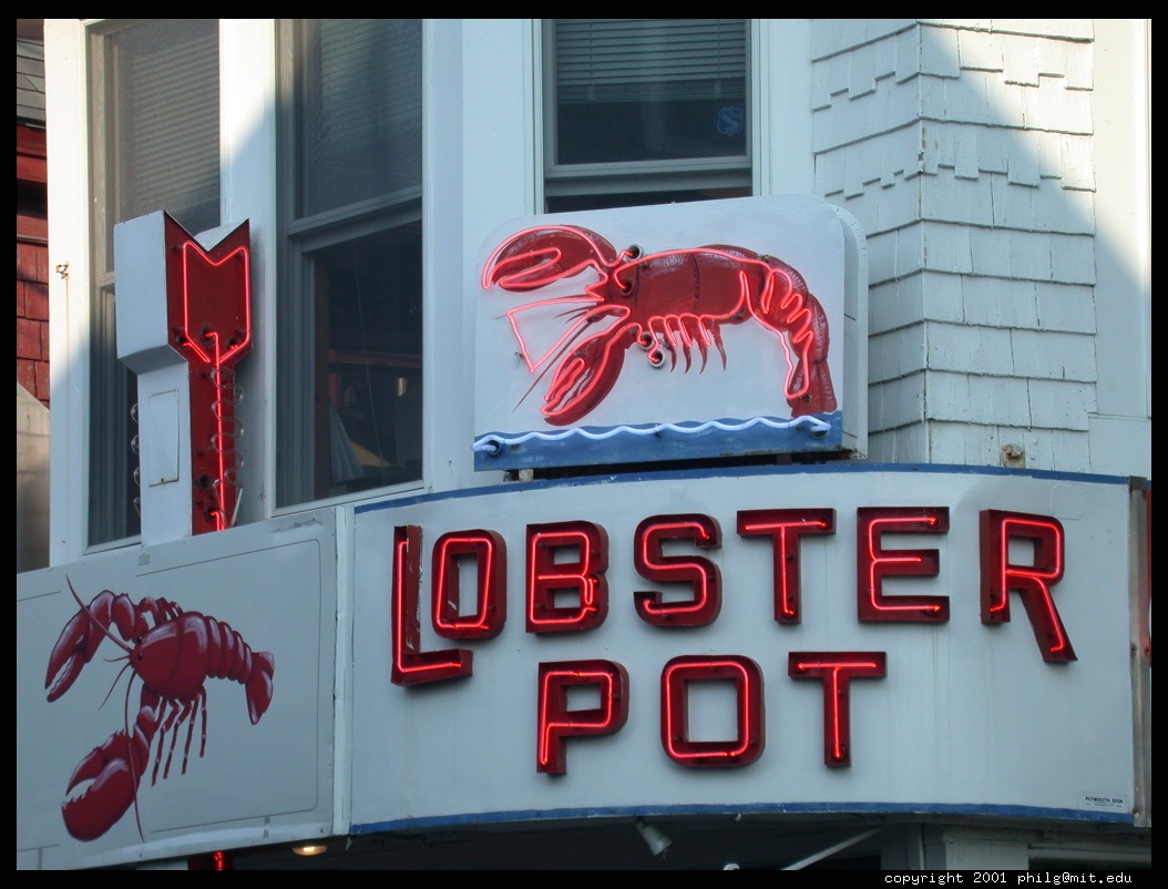 [LobsterPot.jpg]