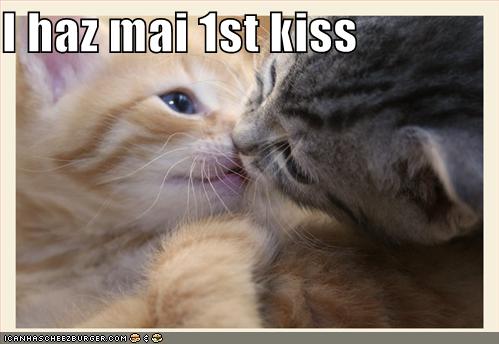 [funny-pictures-kittens-first-kiss.jpg]