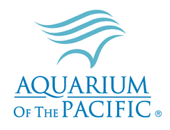 [Aquarium+of+the+Pacific+Logo.gif]