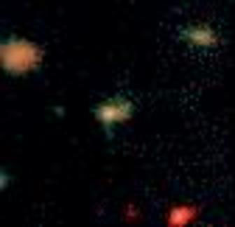 Proto-Cúmulo de galaxias LBG-2377