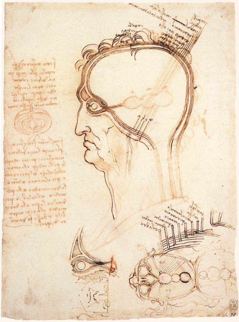 [Leonardo.Estudio+de+cabeza-ojo,+h.1489.Royal+Library,Windsor.jpg]