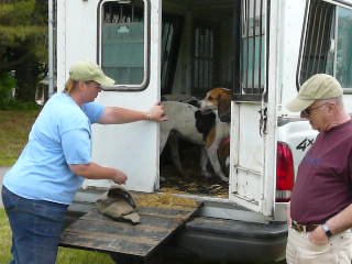 [P1030306+hounds+at+truck.JPG]