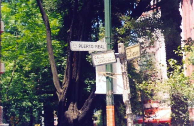 [Calle+Puerto+Real+en+MÃ©xico+(Condesa+2004).JPG]