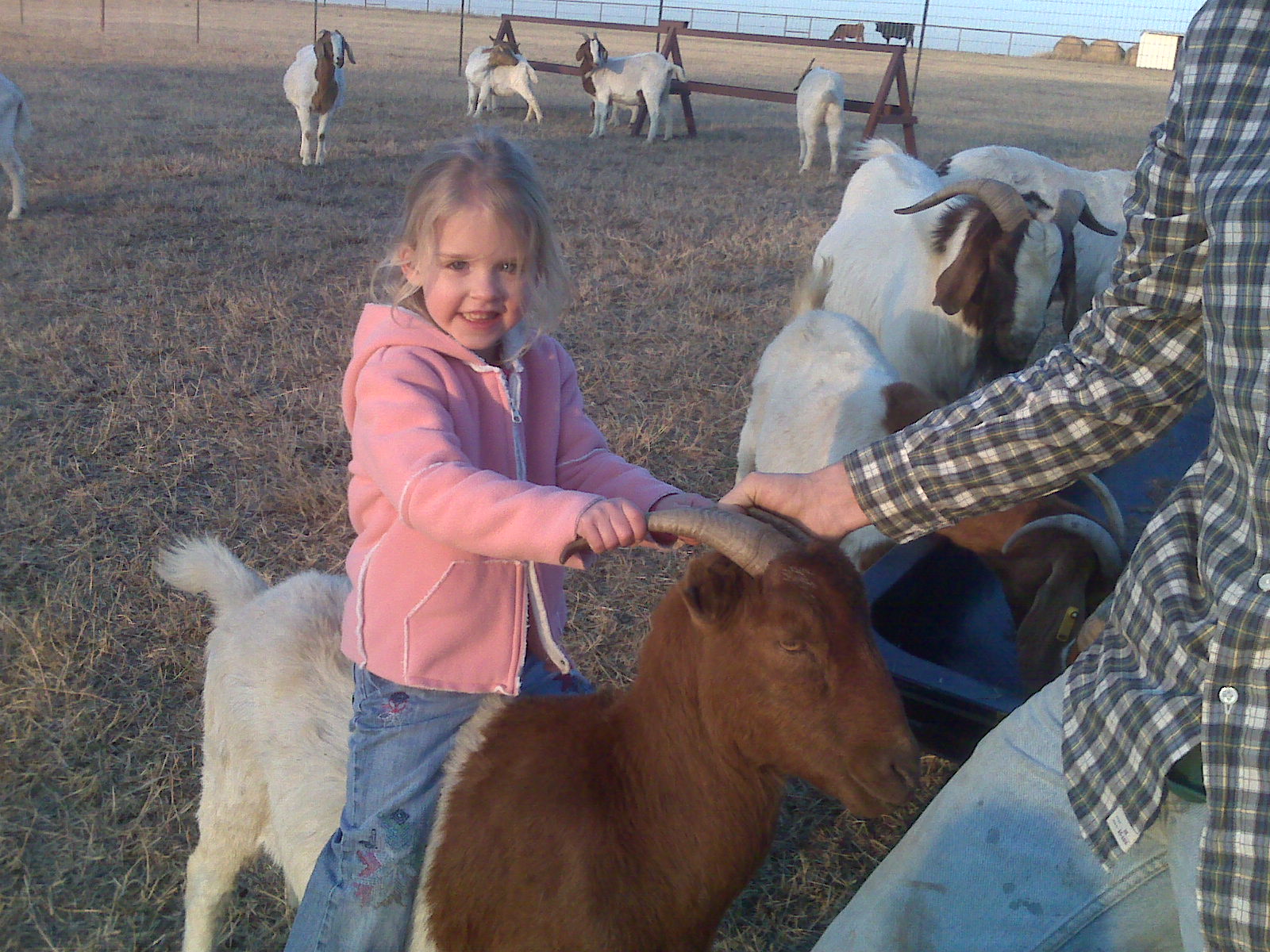 [Kayleen+riding+Goat+2+08.jpg]