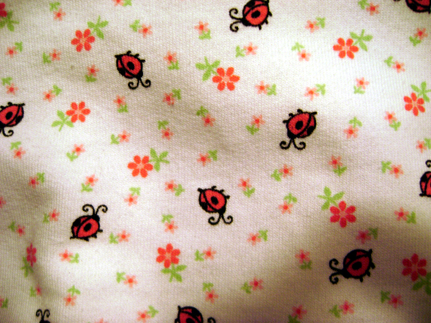 [Lia+Ladybug+Sweatshirt+002.jpg]