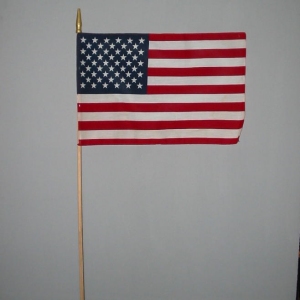 [18_American_Flag_USA.jpg]